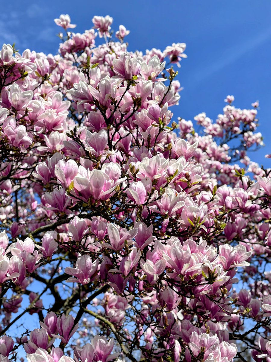 Keykisa2 tweet media