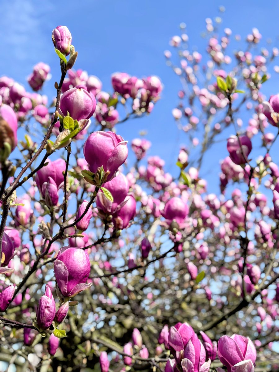 Keykisa2 tweet media