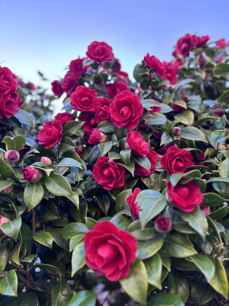 Keykisa2 tweet media