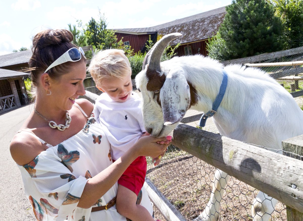 DestinationMK🎈 tweet media