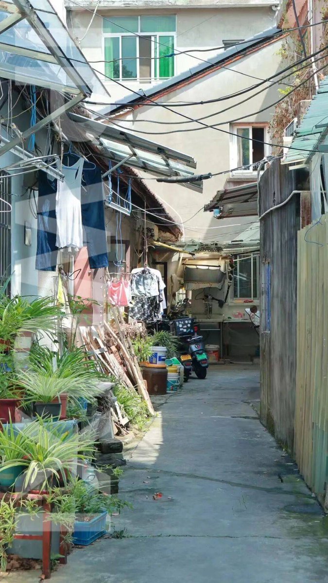 HMilttal's tweet photo. 「2024最戳心治愈片！被抛弃的小狗遇上独居老人，双向救赎的日常藏满细碎温柔 雨天共撑小伞、深夜分享热牛奶… 看完想给身边人一个拥抱！」 https://t.co/07hFSGFUOH