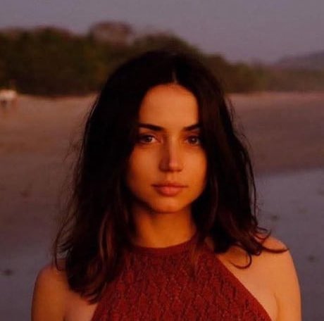 Arktos ⛄️ tweet media