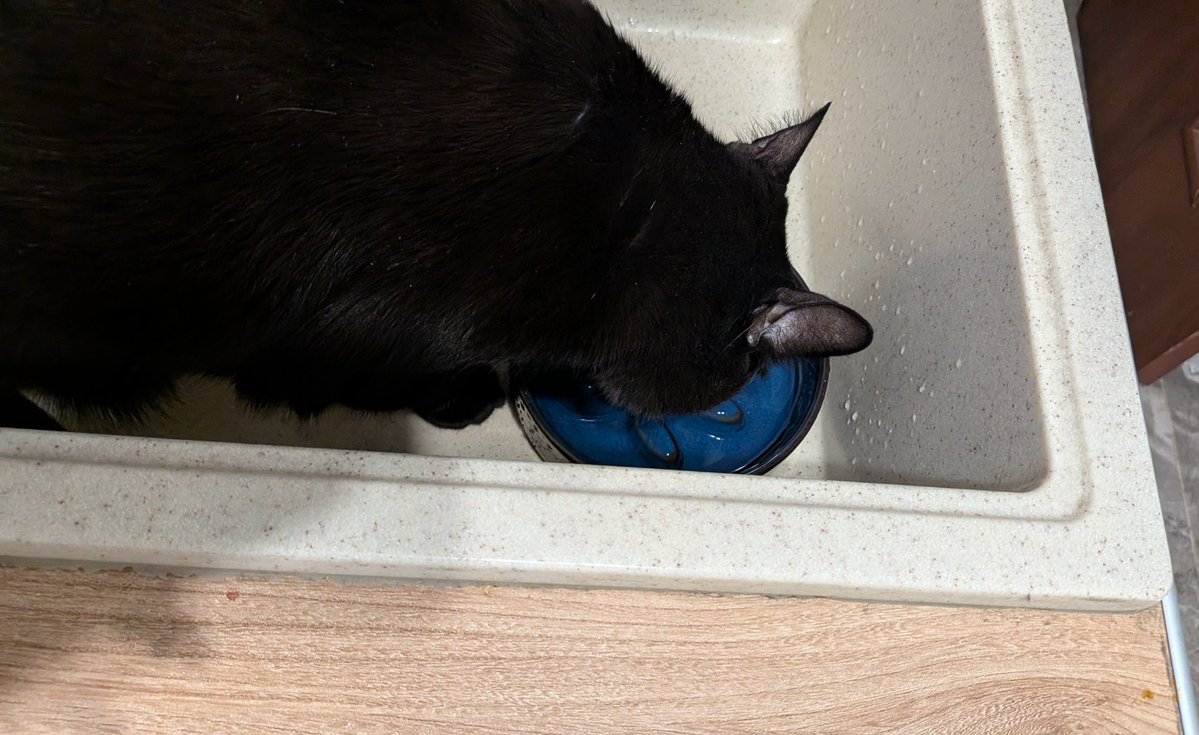 Половинка луны, меховые сыны tweet media