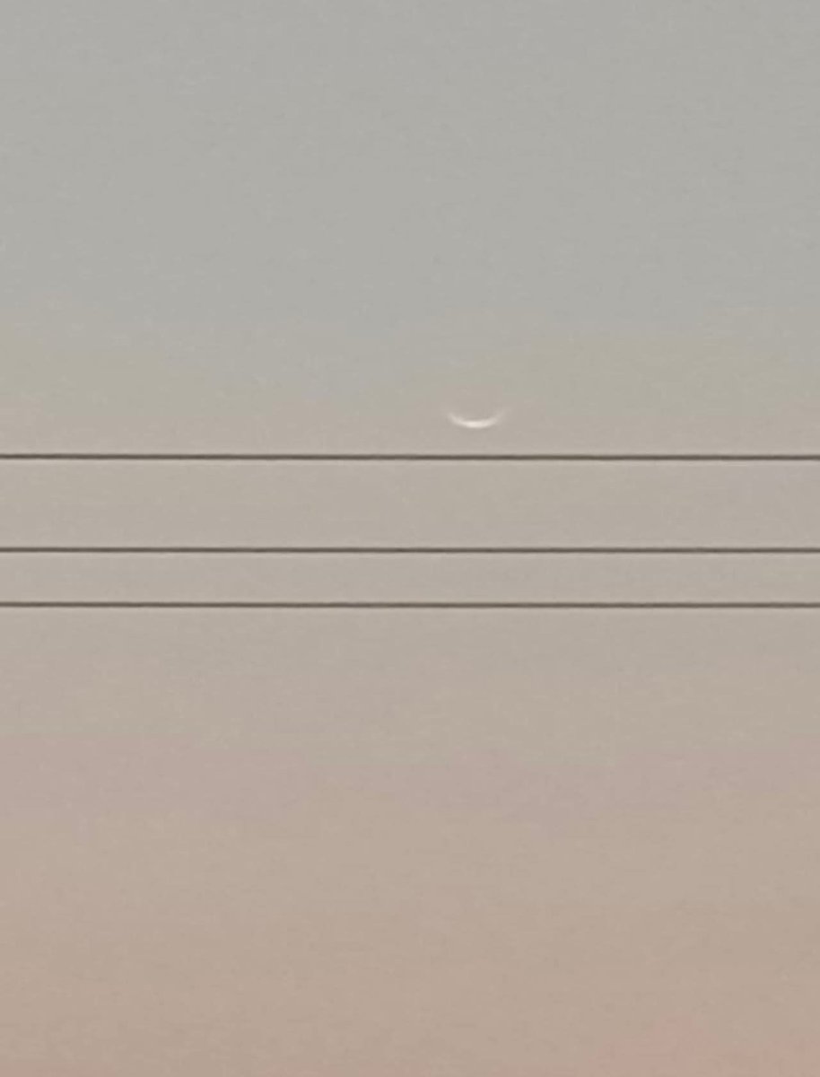 ꧁ քʀɛƈɨօʊֆ քɛǟʀʟ ꧂ tweet media