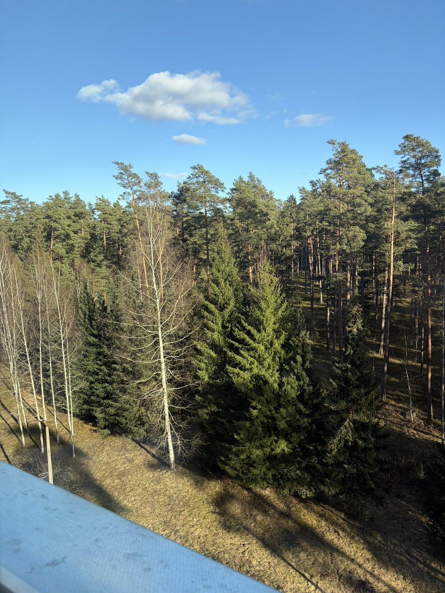 Creventa tweet media