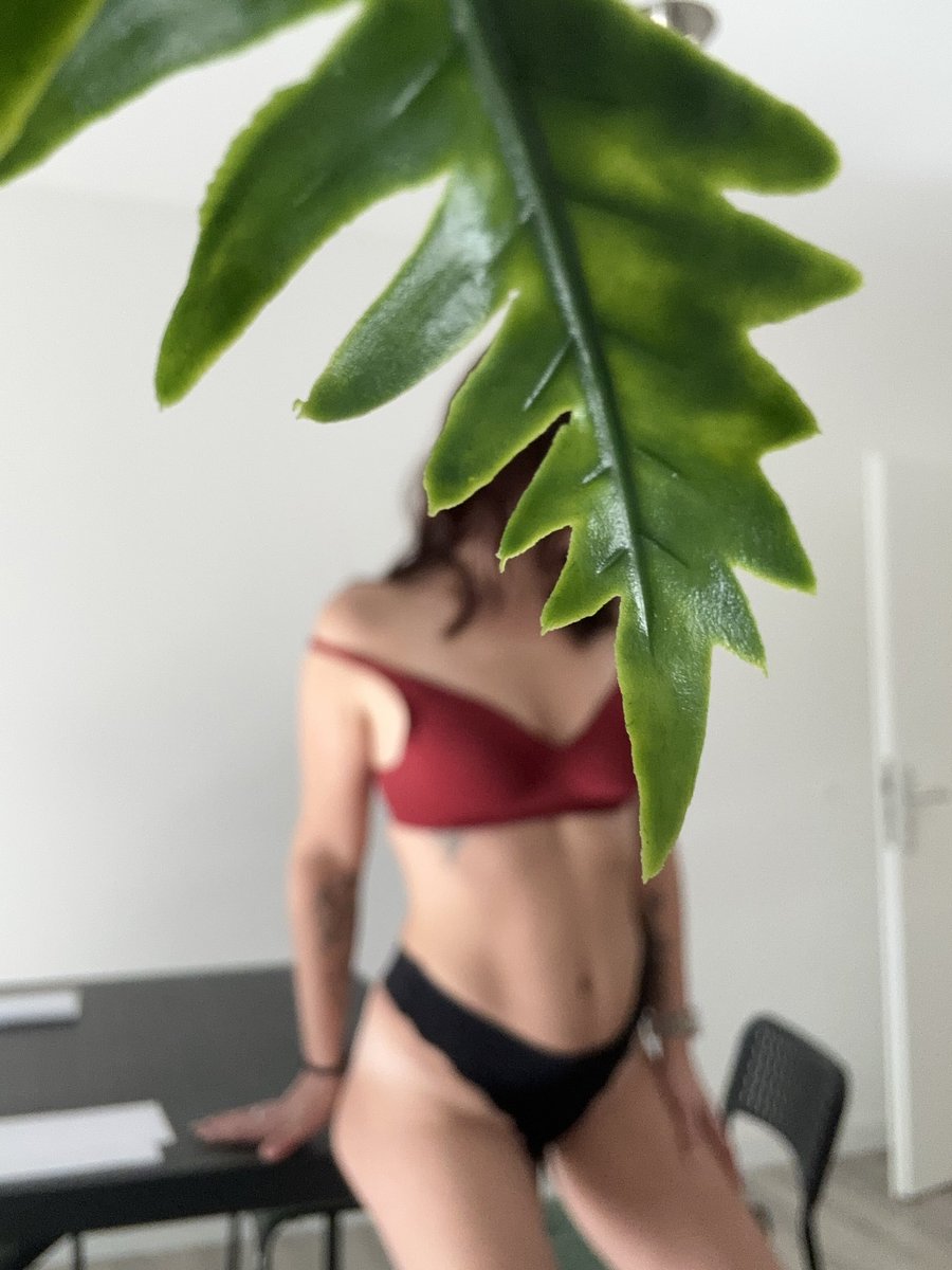 kl41244's tweet photo. Verbringst du die Pause mit mir? #onlyfans #onlyfans_leaked #onlyfansbabe #hotgirl #deutsch #bestfans #followme https://t.co/zP0imDlleG