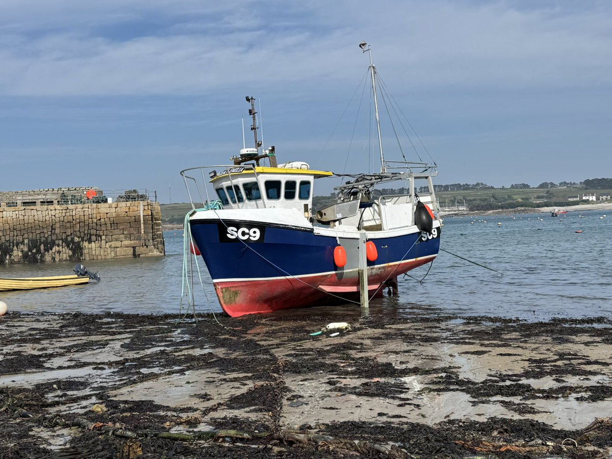 NathandeRoz's tweet photo. Week 4 on the quayside talking to fishermen about the Defra Fishing Industry Social Survey 2026 - on St Mary’s, Isles of Scilly (in the sun ☀️)
#SocialFish26 #haveyoursay #fishermensvoices #communityfutures #FISS #getinvolved https://t.co/oCqqosoy3I