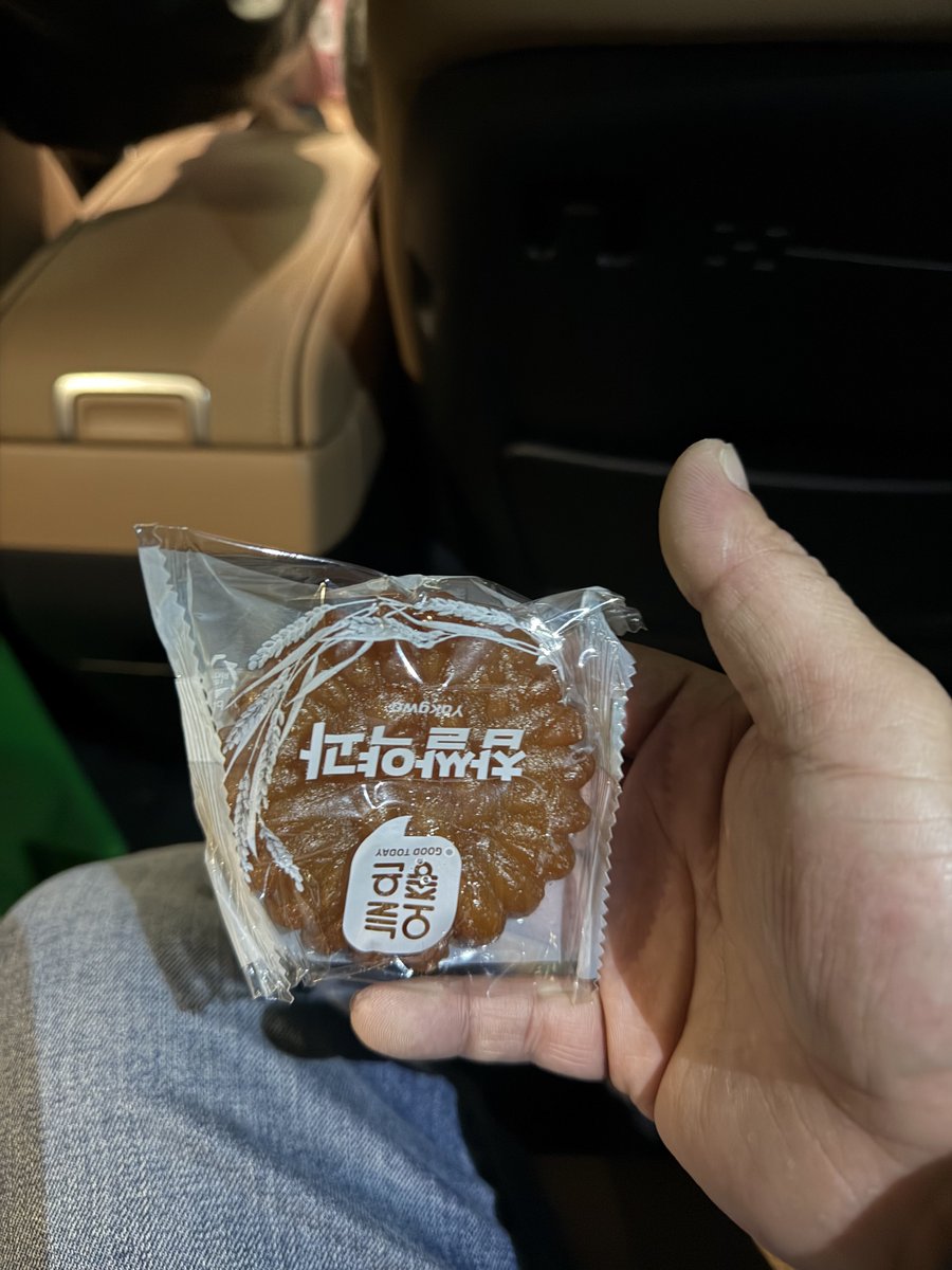 ティケラミンゴ(32) tweet media