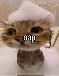 chico 🪐 tweet media