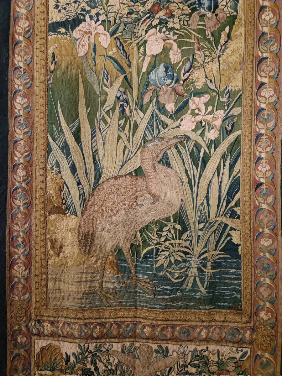 伊東七つ生 tweet media