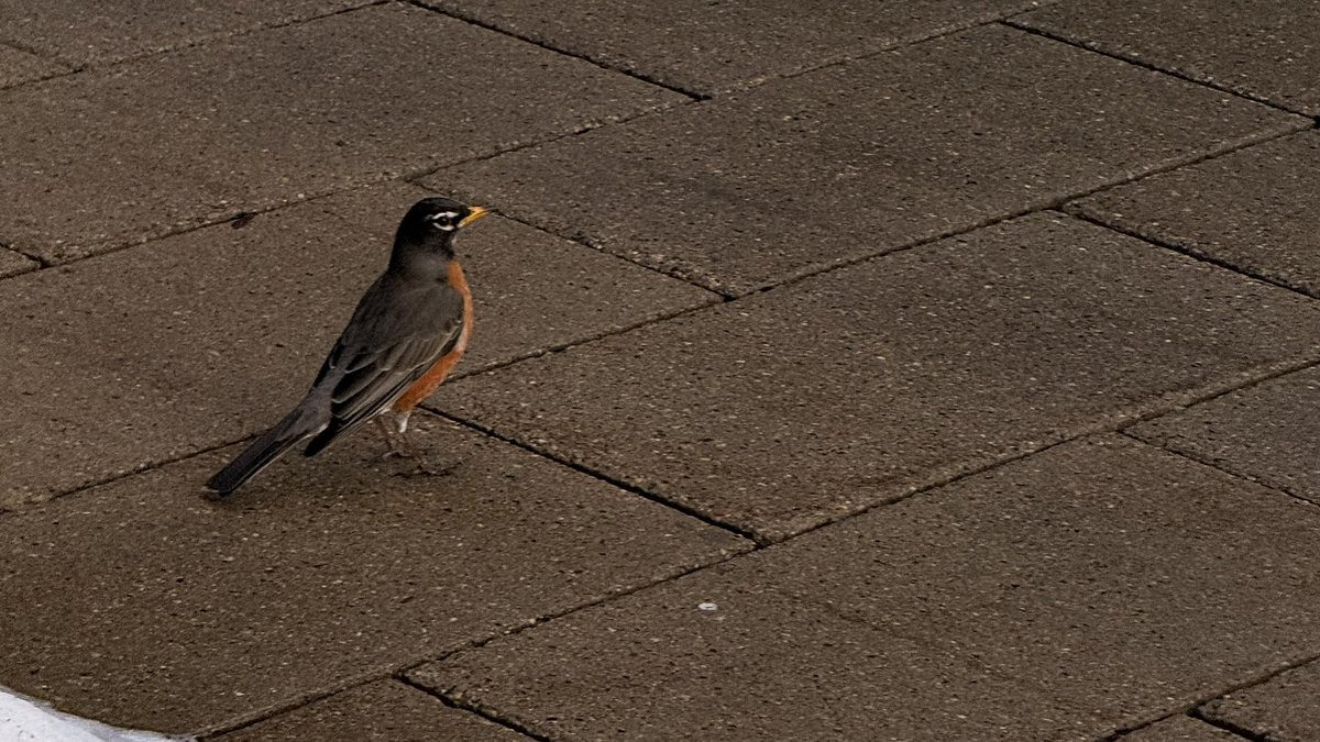 فاطمه tweet media