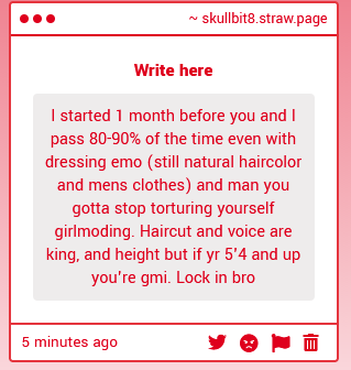 Poonus Maximus tweet media