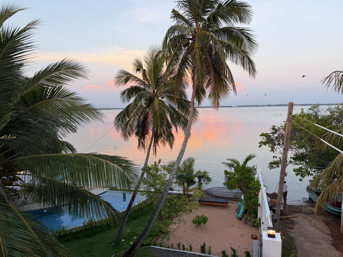 According2Taz tweet media