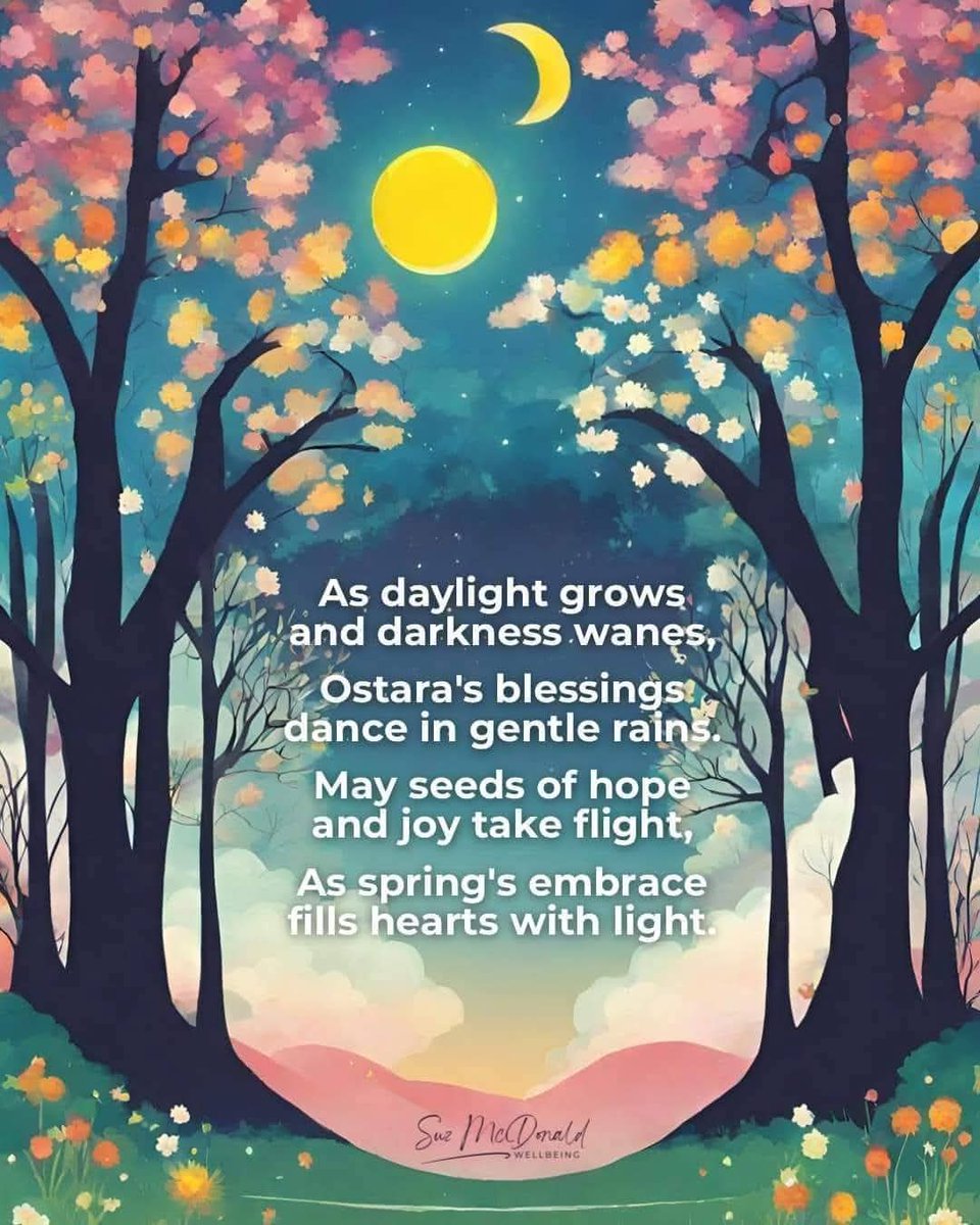 ☮️George Wilson 💛 tweet media