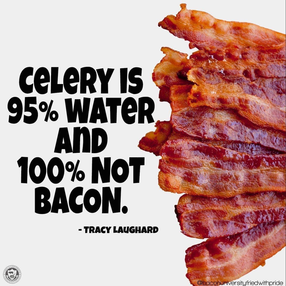 Kimberly Toureiro tweet media