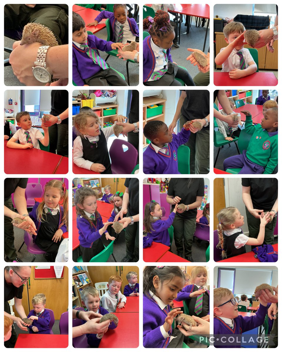 St. Thérèse of Lisieux Catholic Primary School tweet media