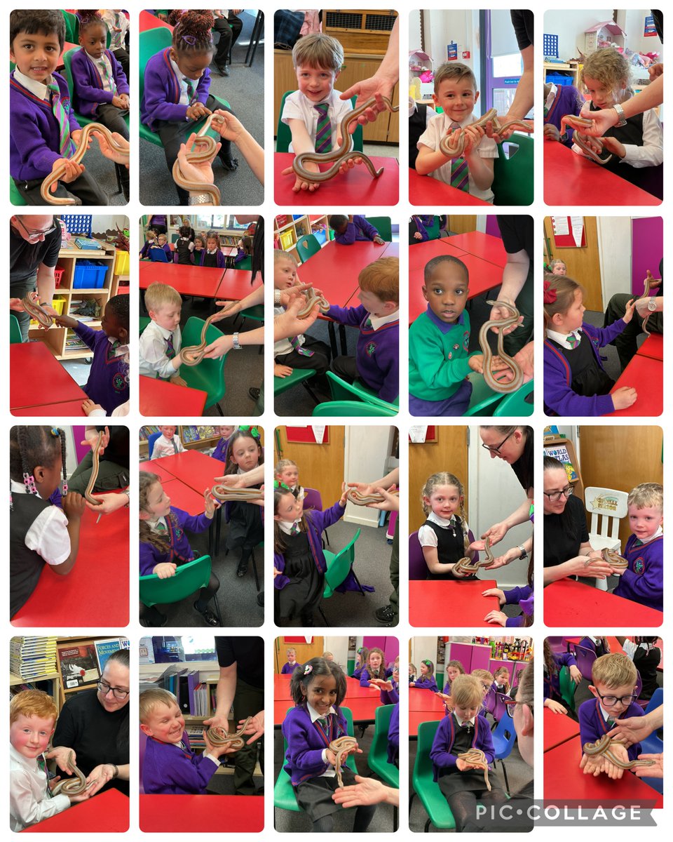 St. Thérèse of Lisieux Catholic Primary School tweet media