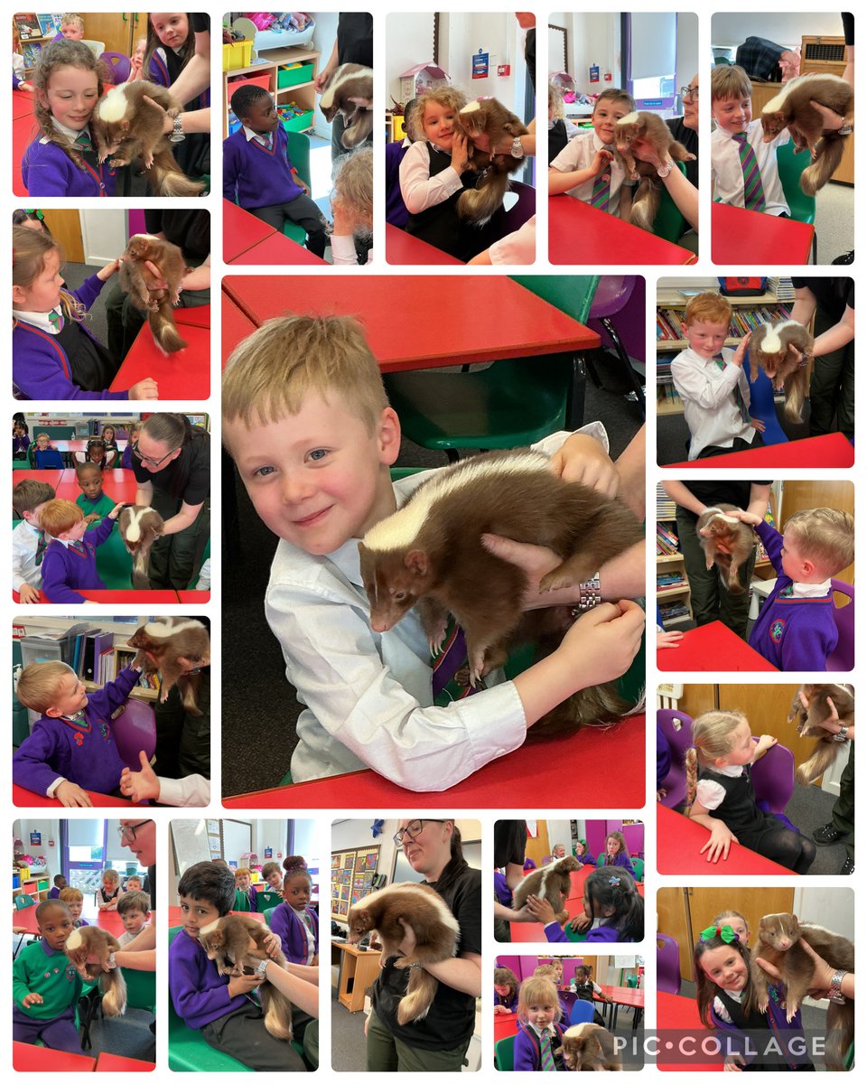 St. Thérèse of Lisieux Catholic Primary School tweet media