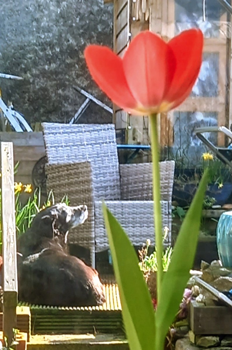 Amanda's Counselling tweet media