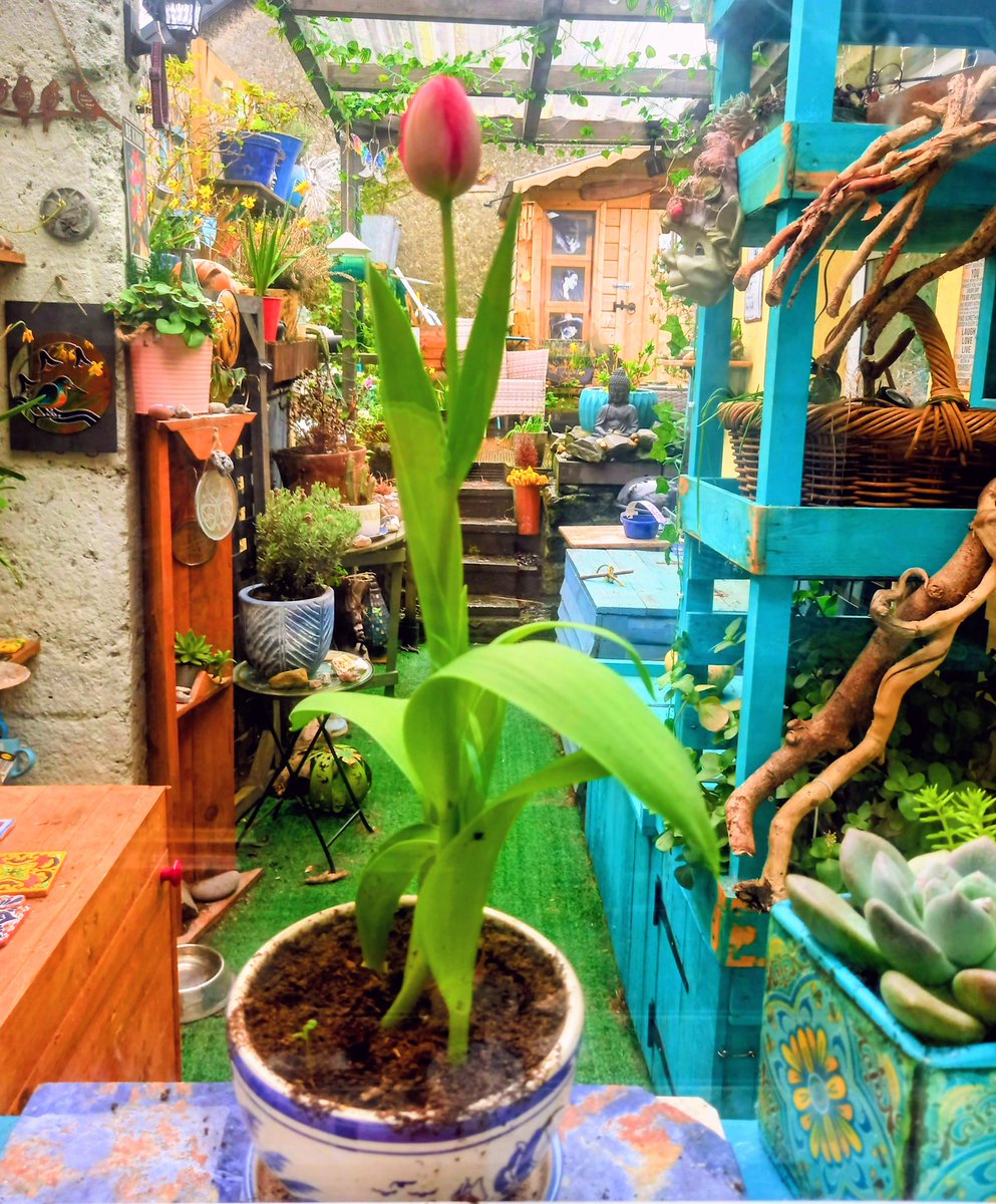 Amanda's Counselling tweet media