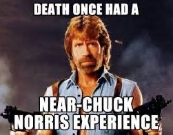 Pino Americano tweet media