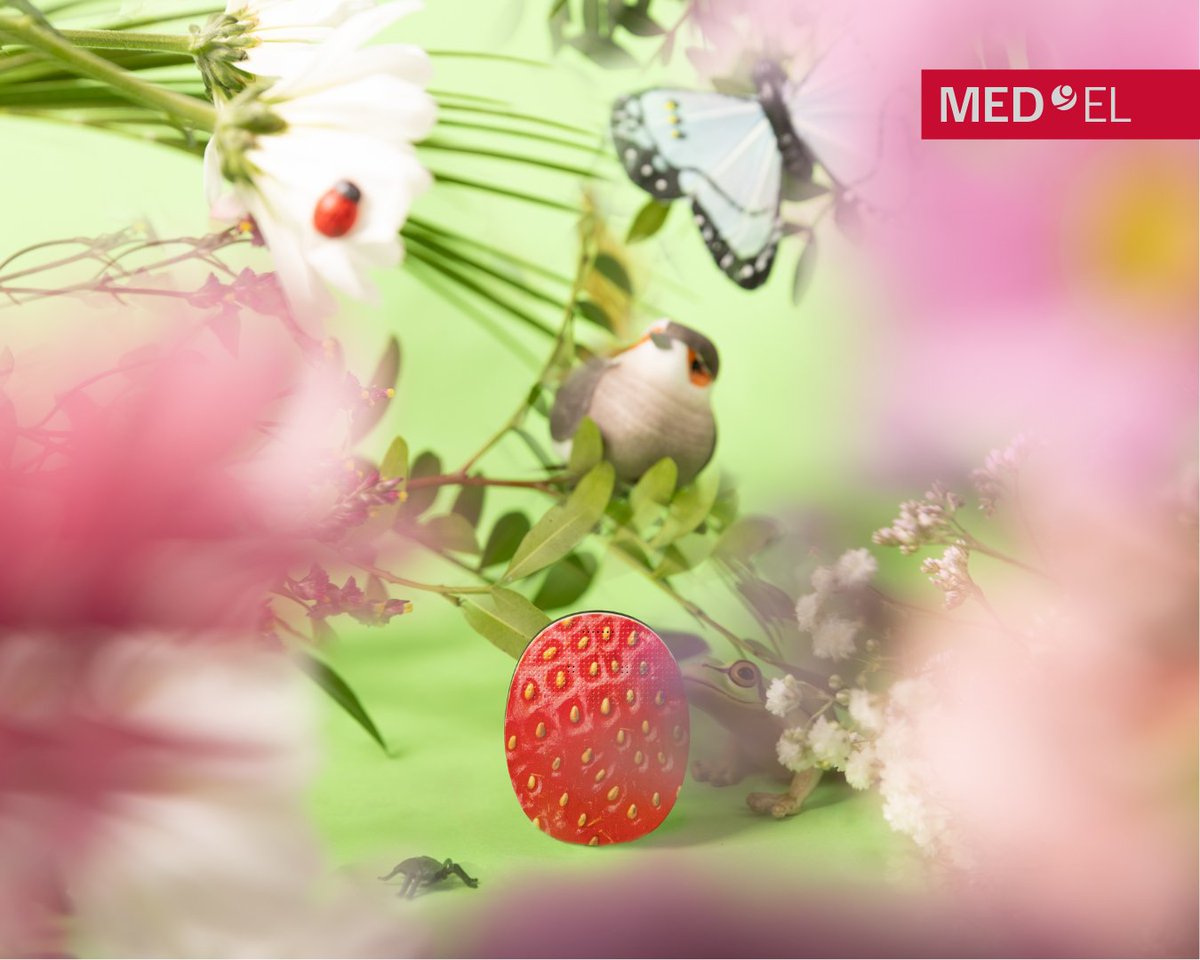 medel_uk's tweet photo. Hello spring 🌸 

Today is the Spring Equinox in the UK, which means brighter days and fresh beginnings! Wishing you all a lovely start to spring 💐 

#SpringUK #SpringEquinox https://t.co/5rbaM4hoBA