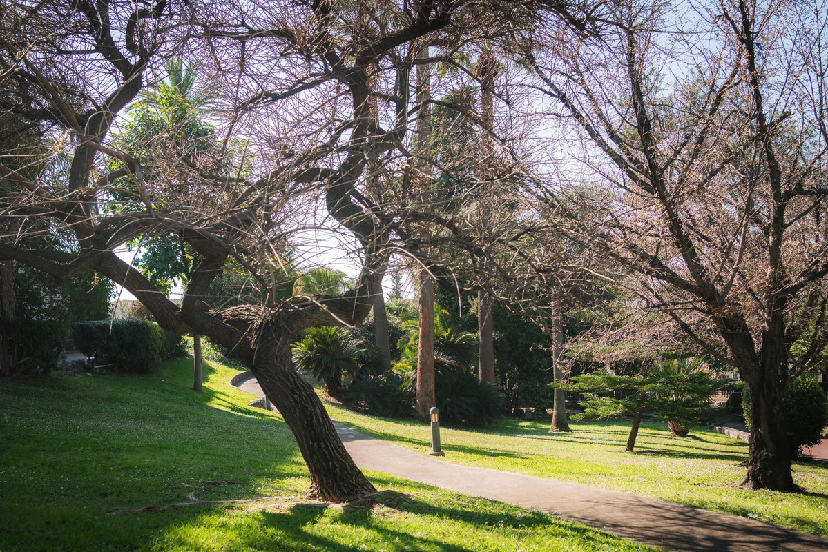 Christian Estrosi tweet media