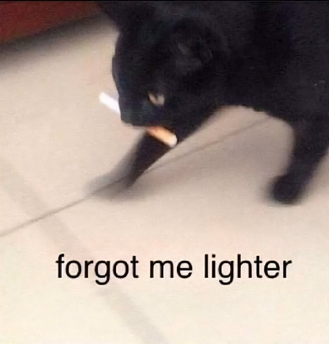 megameou tweet media