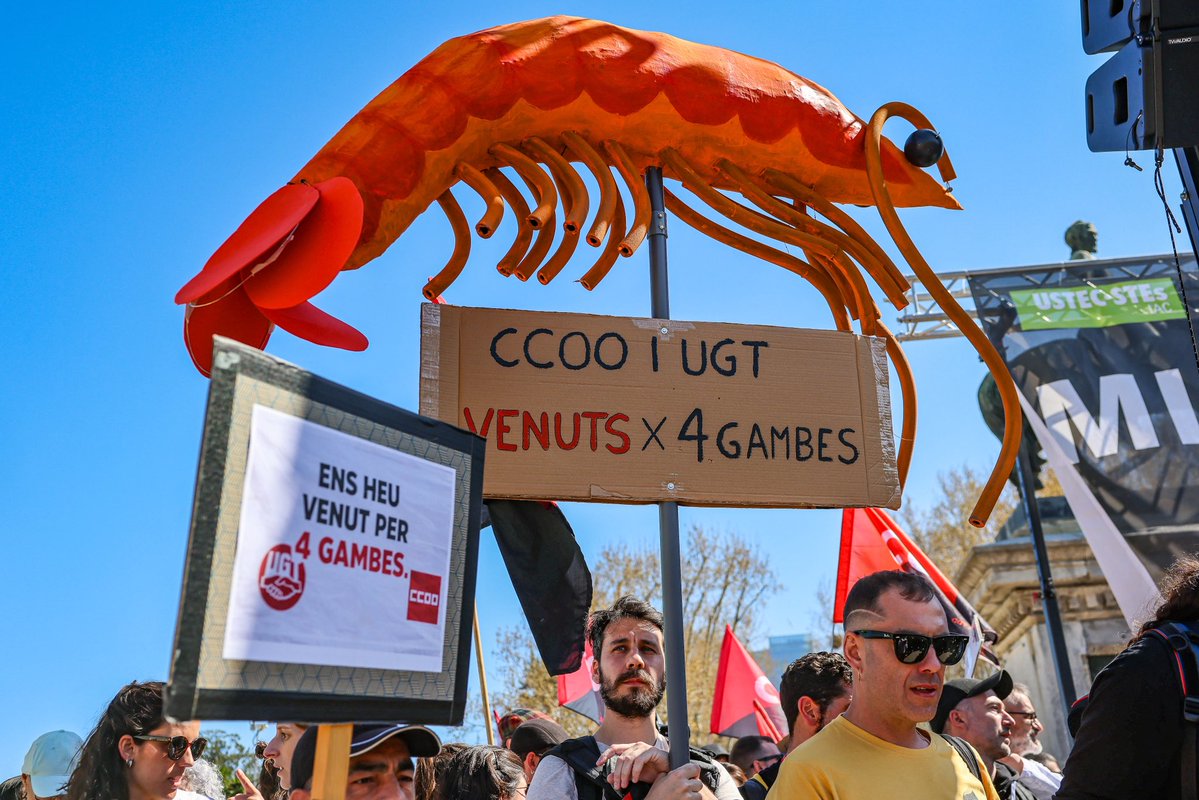 Jordi Borràs tweet media