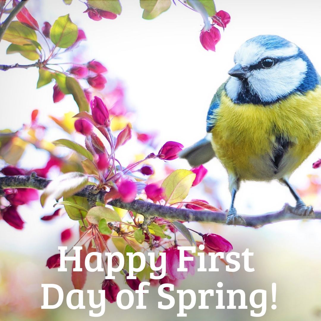 Heidi Main tweet media