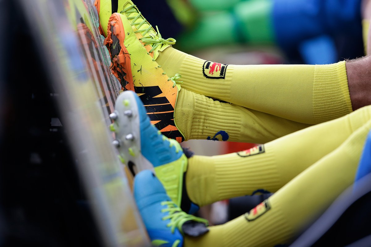 De Eerste De Beste tweet media