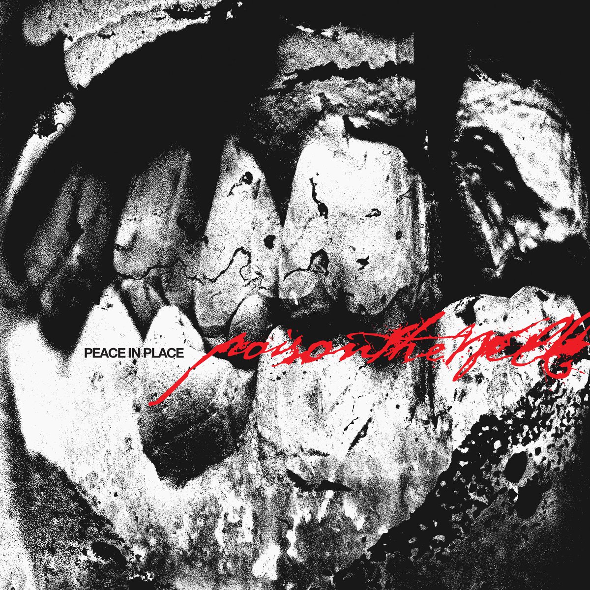 CHRIS HORNBROOK tweet media