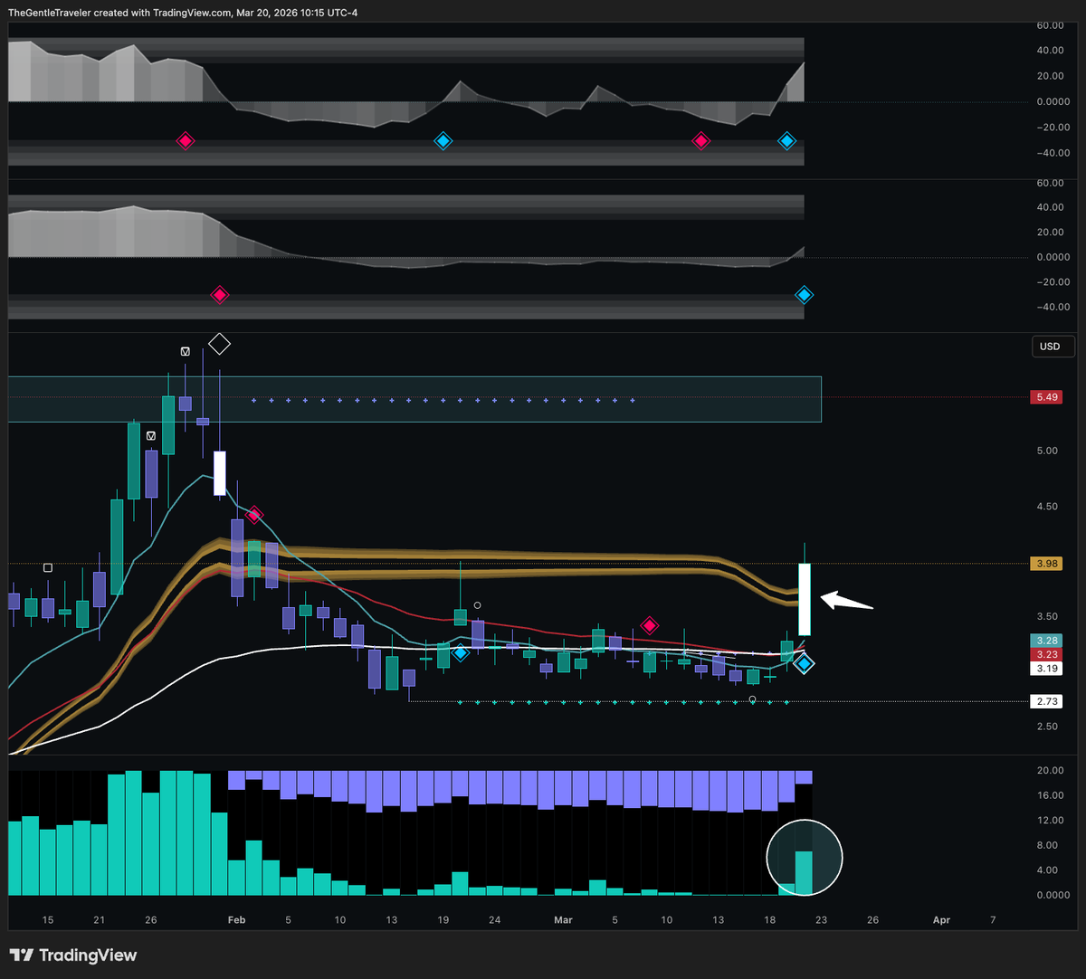 TheGentleTraveler tweet media