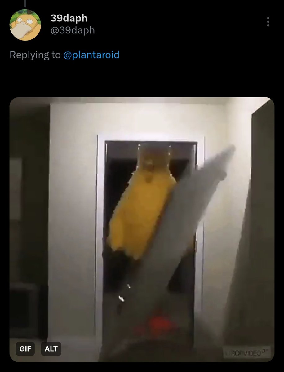 leaf ♧ tweet media