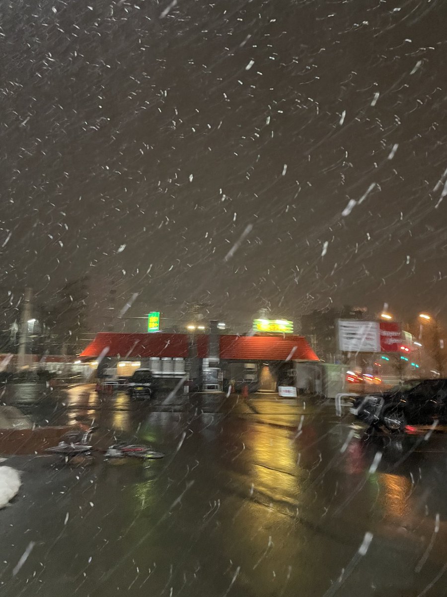 酒ピクミン tweet media