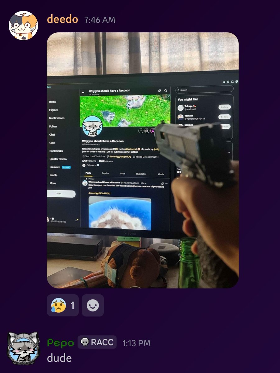 Why you should have a Raccoon tweet media