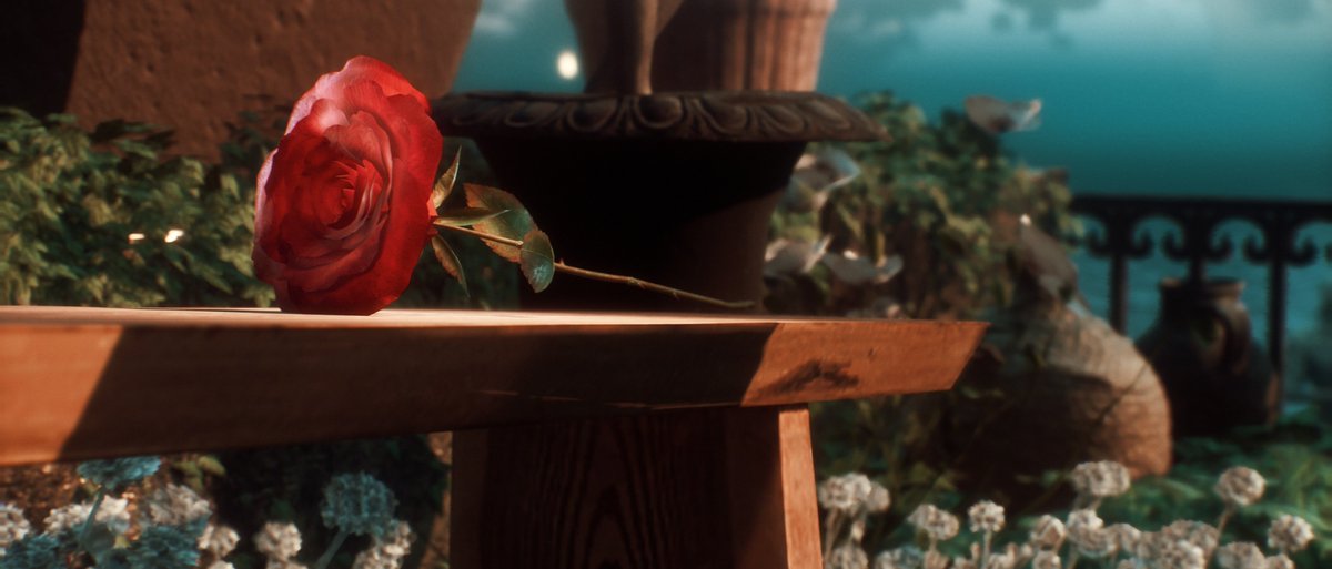 Ari 📷 tweet media