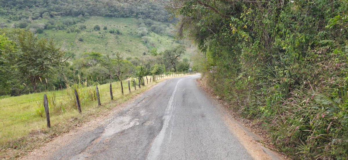 JEC San Luis tweet media