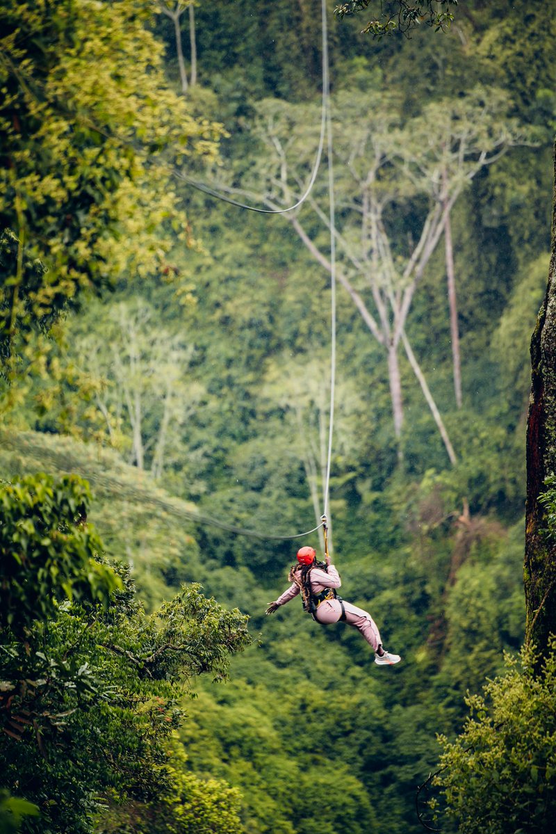 chebetonsteroids tweet media