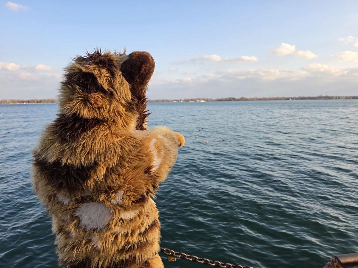 Torin Sol tweet media