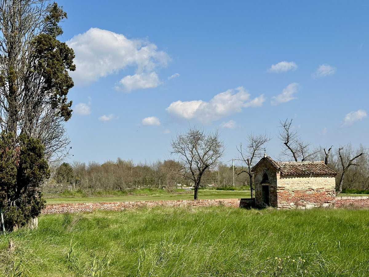 Luca Zane tweet media