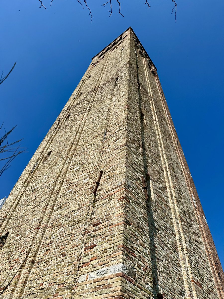 Luca Zane tweet media