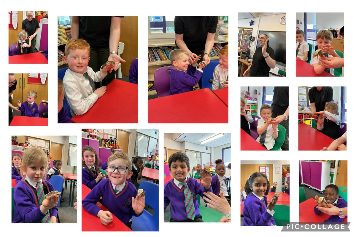 St. Thérèse of Lisieux Catholic Primary School tweet media