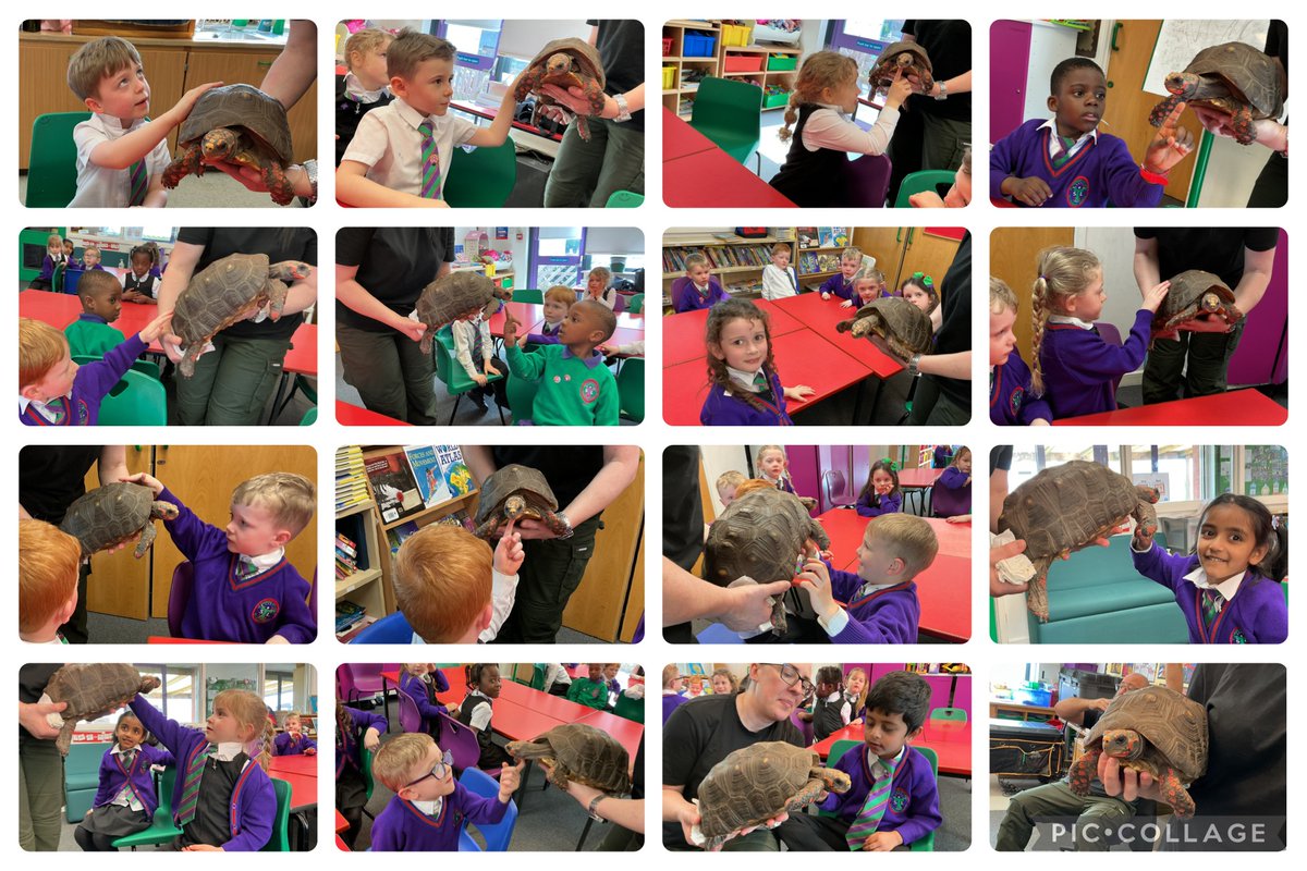 St. Thérèse of Lisieux Catholic Primary School tweet media