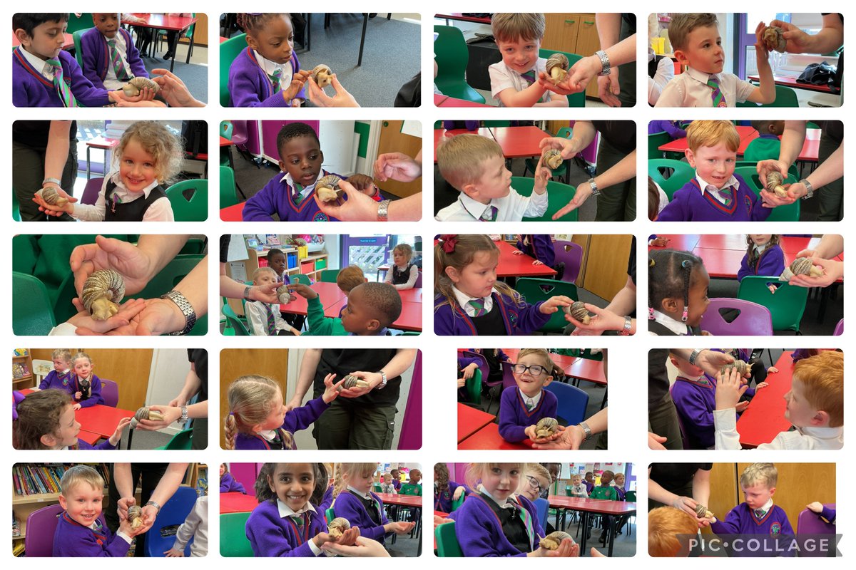 St. Thérèse of Lisieux Catholic Primary School tweet media