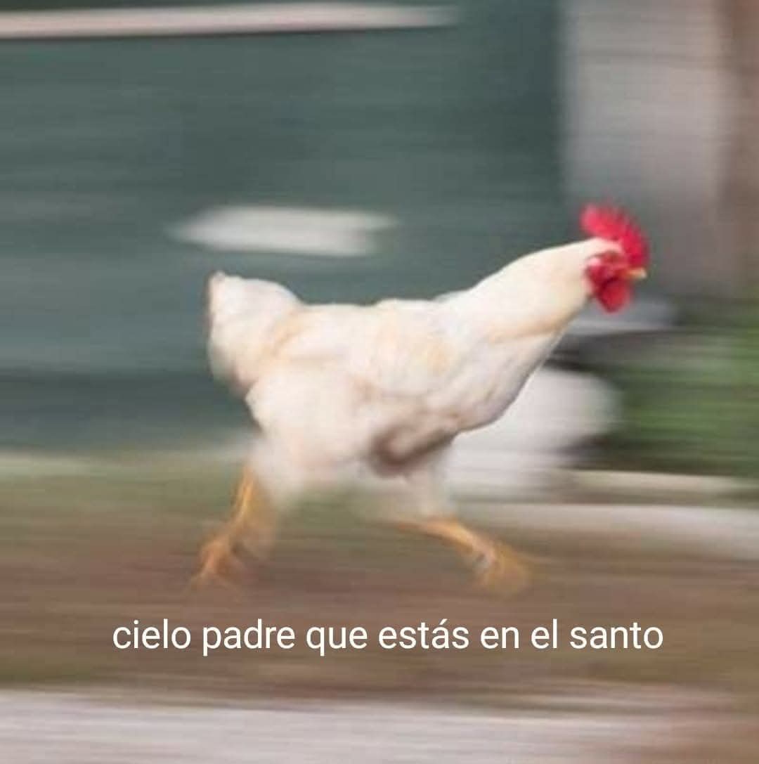 MATTITO VT ❤️🪽| VGEN OPEN #VArtist | 2026 DEBUT tweet media