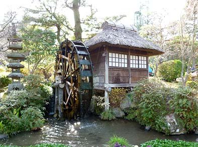 kurosiba fuku tweet media