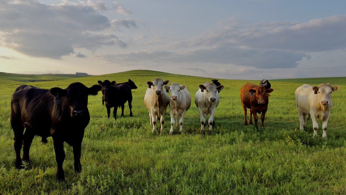 Foley Equipment Service tweet media