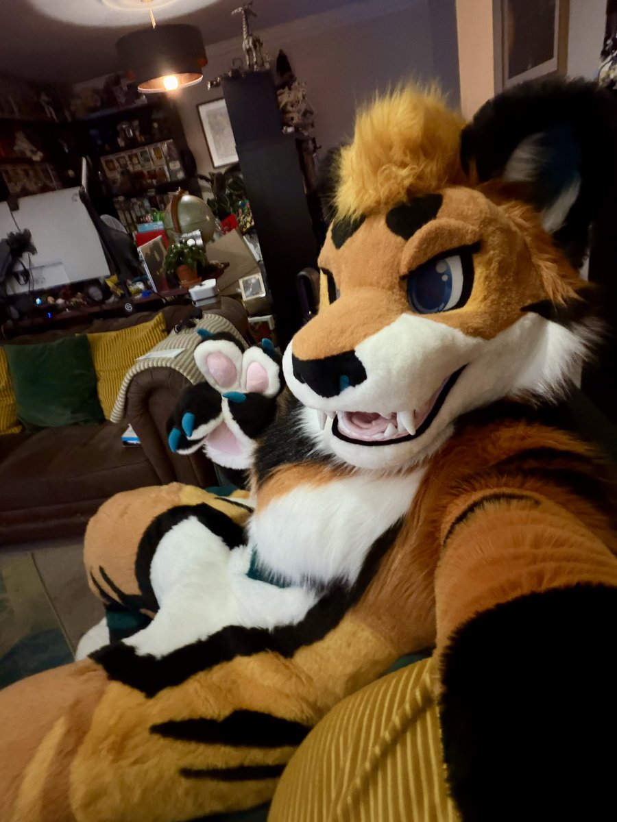 Cairo 🔜 ??? tweet media