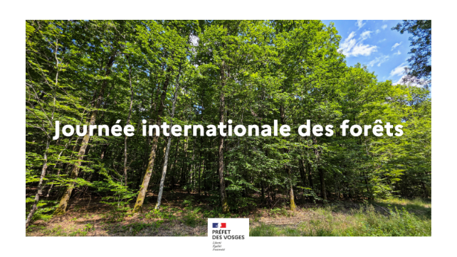 Préfet des Vosges 🇫🇷🇪🇺 tweet media